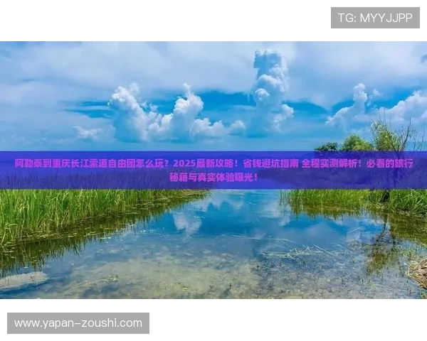 玩球波胆赔率分析避坑指南数字高频玩法防骗